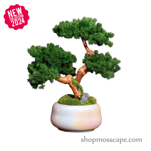 Bonsai-scape (5-028 w/ MF)