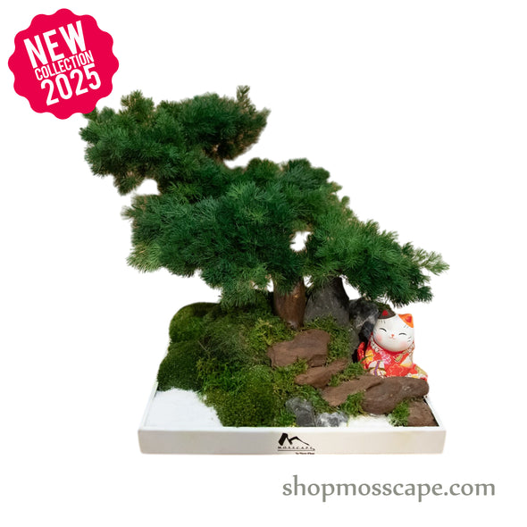 Japanese Bonsai & Lucky Cat Miniature Decor | Bonsai-scape (5-029 w/ MF)