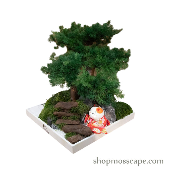 Japanese Bonsai & Lucky Cat Miniature Decor | Bonsai-scape (5-029 w/ MF)