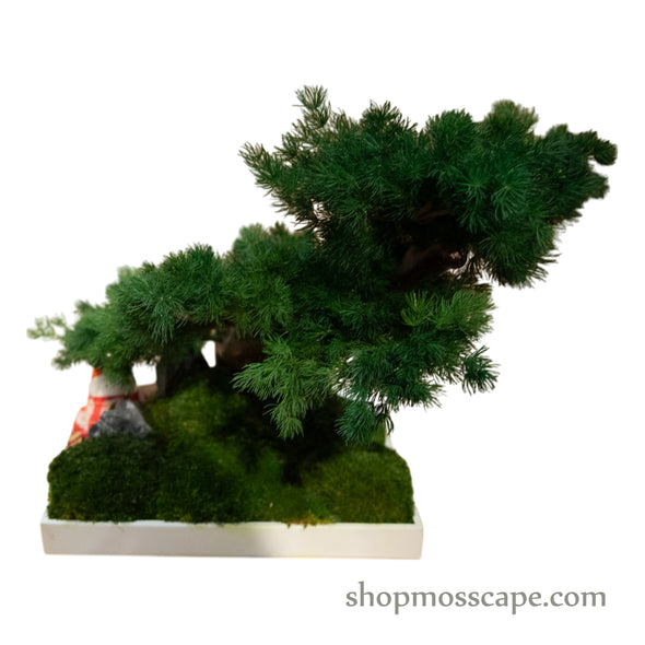 Japanese Bonsai & Lucky Cat Miniature Decor | Bonsai-scape (5-029 w/ MF)