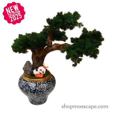 Elegant Panda Bonsai | Bonsai-scape (5-033 w/ MF)