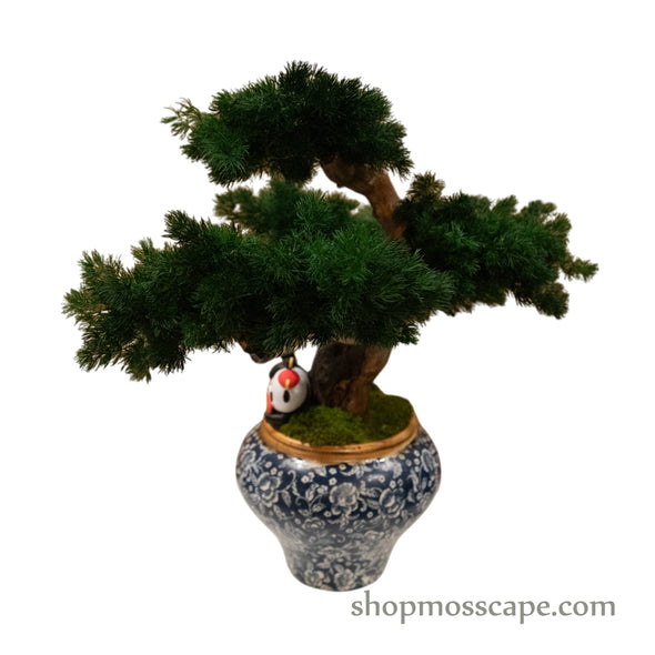 Elegant Panda Bonsai | Bonsai-scape (5-033 w/ MF)