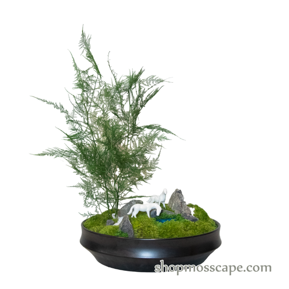 Couple Horses Thirst on River | Bonsai-scape (5-007 w/ AF)