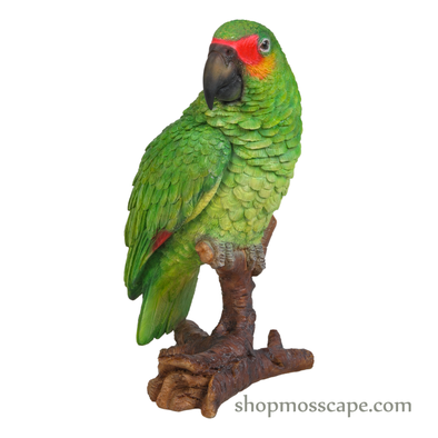 Green Parrot On Stump